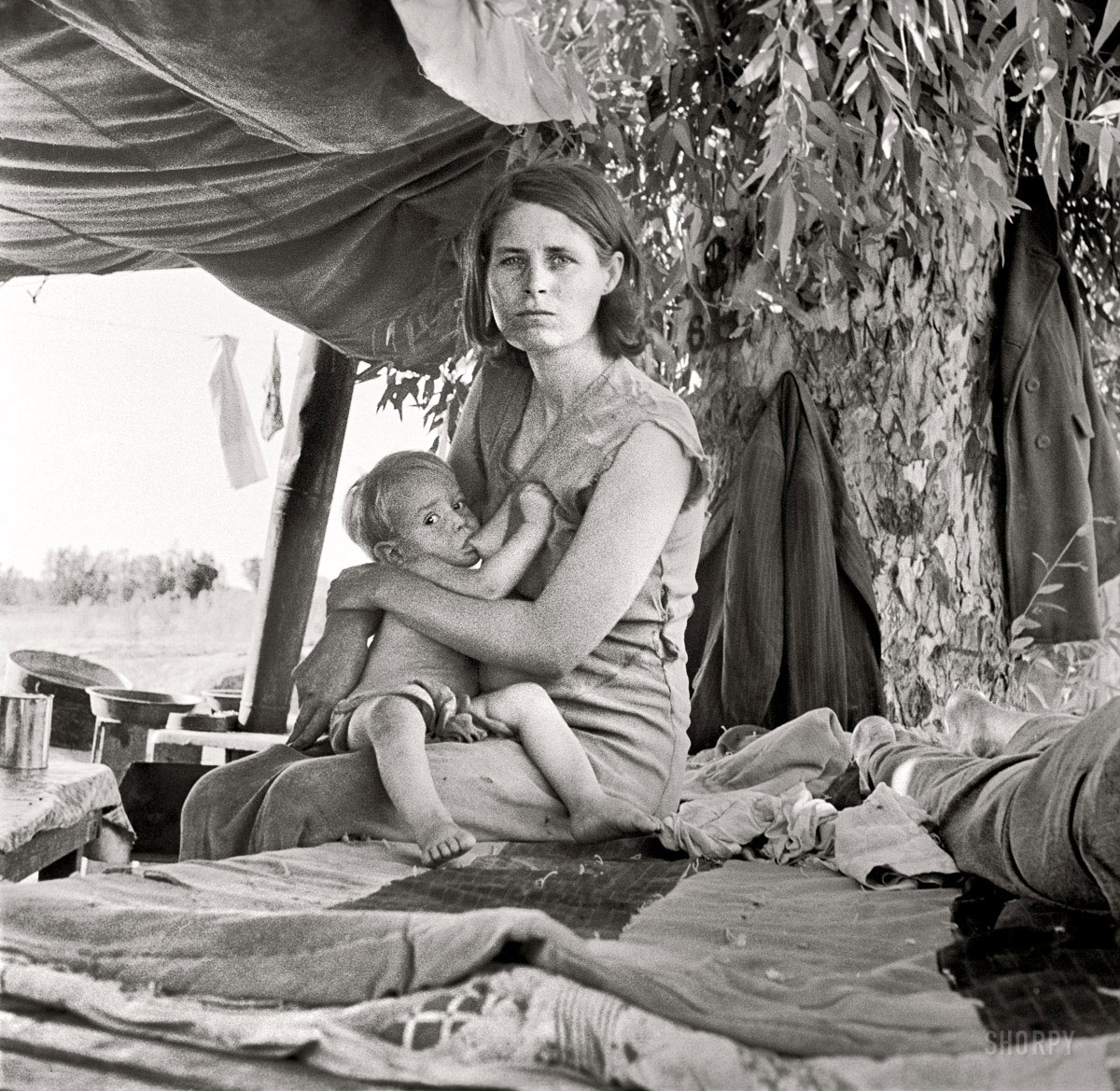 Dorothea Lange: „Migruojanti motina” 