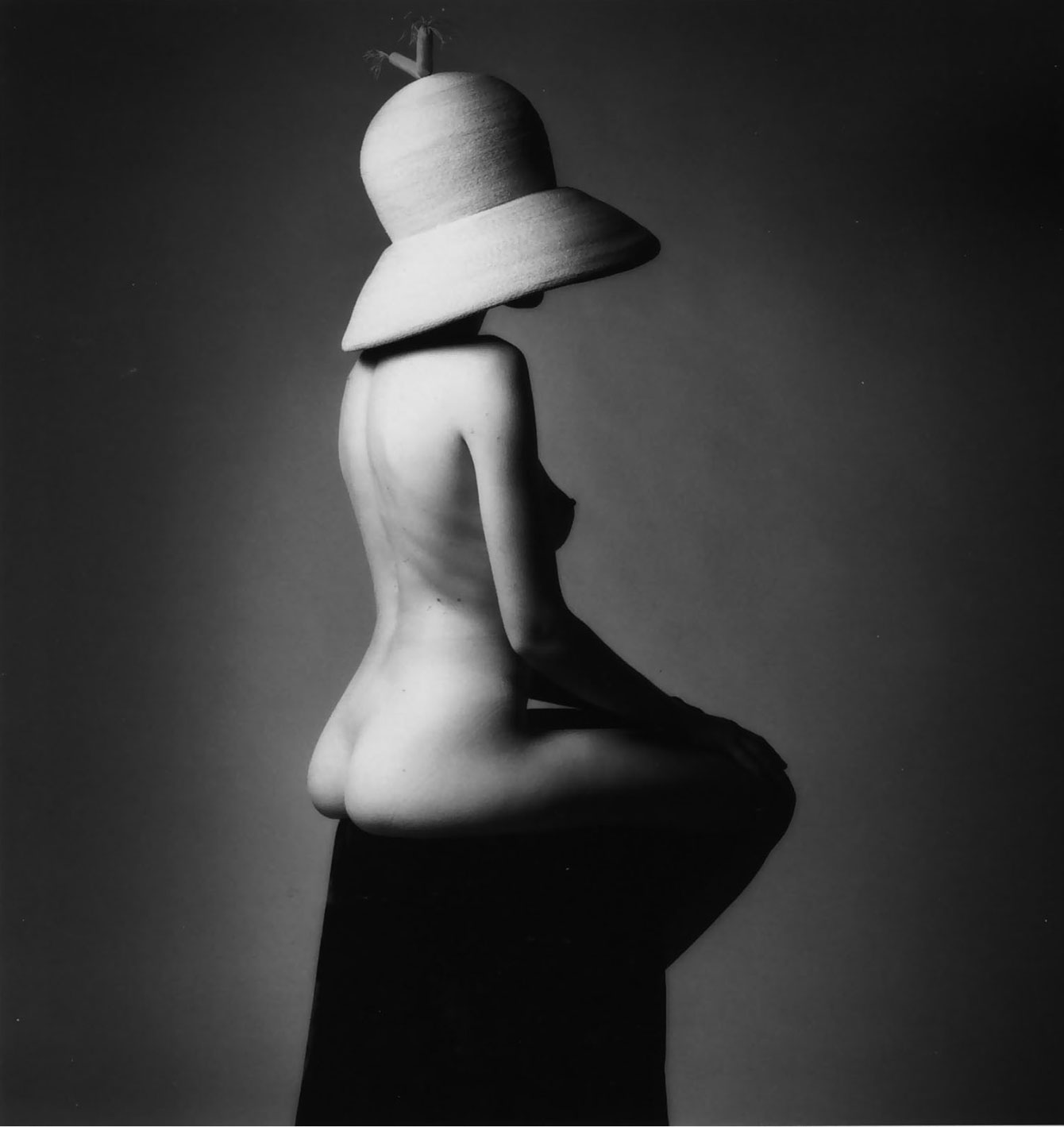 Didelė skrybėlė, Fotografas: Jeanloup Sieff, 1995