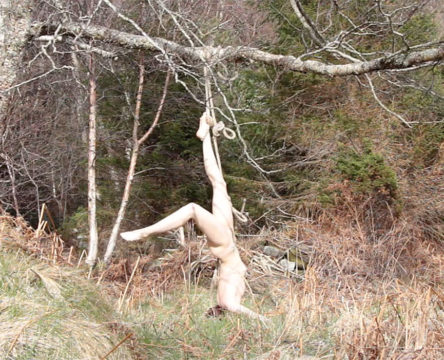 Norvegų menininkė nuoga užstrigo medyje
