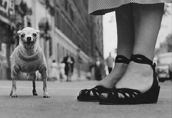 Elliott Erwitt