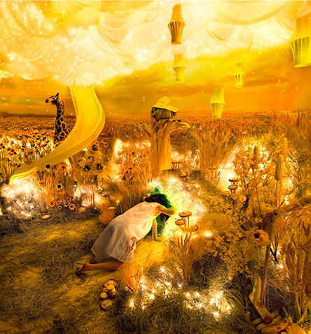 Adrien Broom spalvų projektas